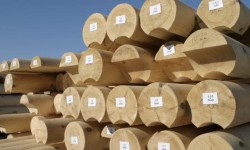 2Оцилиндрованное бревно: мифы и реальность